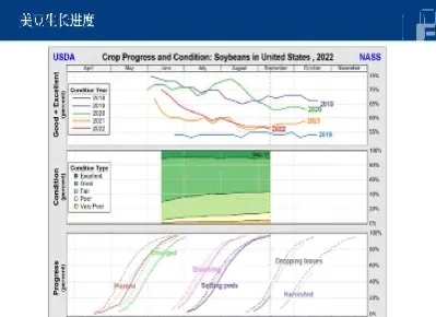 美豆油期货实时(美豆油期货实时报价)