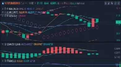 美原油走势分析最新(美原油期货价格走势)
