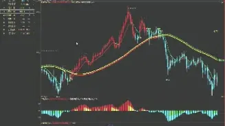期外盘期货直播间(期货的外盘内盘是什么意思)