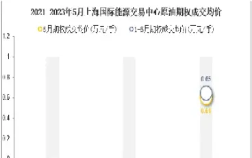 哪里看上海国际能源中心原油期货(上海国际能源期货交易中心)