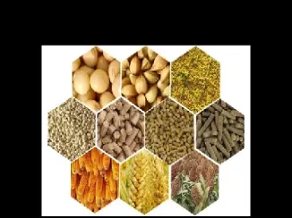 豆粕菜粕棉粕价格(豆粕与菜粕的差价一般是多少)