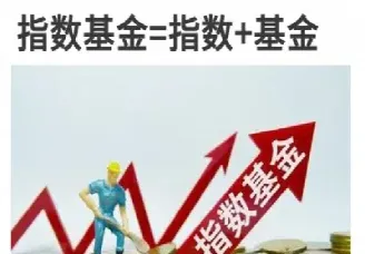 什么是指数基金简单的回答(基金指数型和混合型区别求回答)