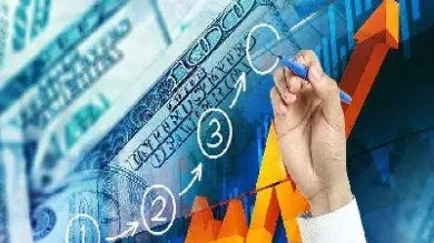 外汇从什么时候开始的(仙人掌外汇从什么时候开始的)