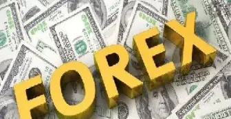 外汇期权保证金(外汇期权交易需要缴纳保证金)