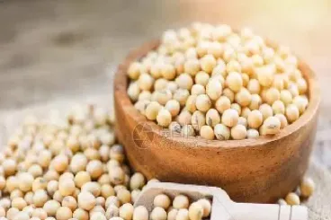 豆粕是生的还是熟的(什么是豆粕是生的还是熟的)