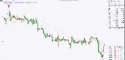 苹果期货今日行情查询(苹果期货今日消息)_https://www.lytzg.com_美原油期货_第1张