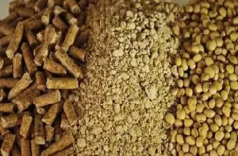 豆粨和豆粕是一个东西吗(豆粕和豆粕的区别)