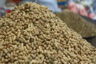 花生期货交易市场(花生期货在哪上市)