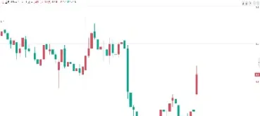 豆粕期权合约规则(豆粕期权交易规则)