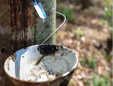 橡胶期货最近几年走势(橡胶期货近10年走势图)