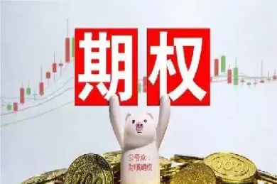 股票期权和股份期权(股票期权和期权一样吗)