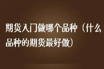 初学者期货是怎么交易的(新手想进行期货交易如何入门)