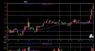 上海黄金交易所黄金保证金(上海黄金交易所金条今日价格)