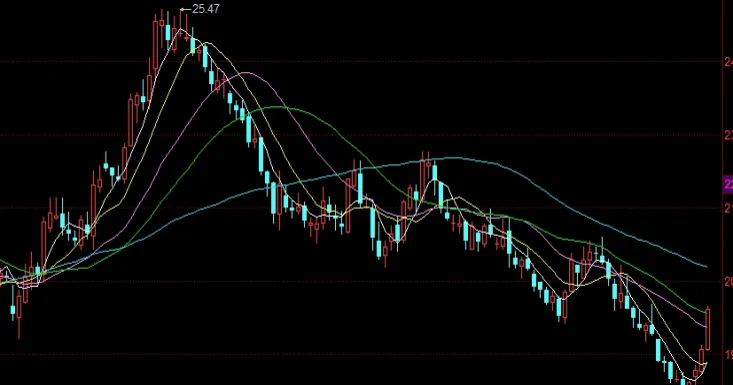 哪个券商期权交易手续费低(哪些券商可以做个股期权)