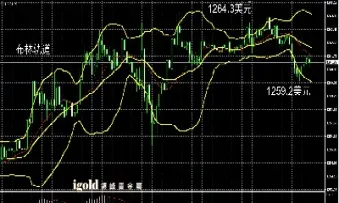 黄金价格分析最新(黄金价格分析最新消息)