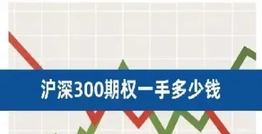 沪深300股指期货保证金可以取出吗(沪深300股指期货保证金)