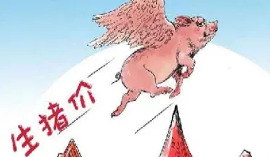 生猪期货2305(2305生猪期货行情分析)