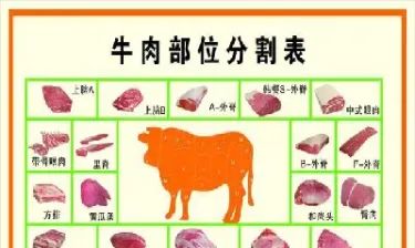 牛肉期货在哪里看(牛肉期货价格在哪里看)
