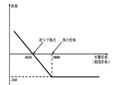 看跌期权有哪些(看跌期权什么意思)