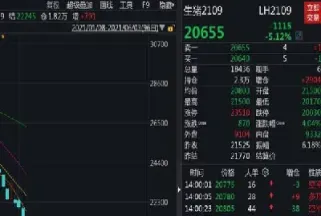 生猪期货09合约最后交易日(生猪期货最后交易日)