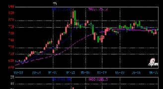 上海黄金交易所今日实时黄金报价(上海黄金交易所今日实时黄金报价黄金第一网)