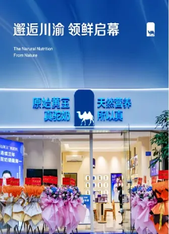 成都黄金交易所在哪里(成都哪里的黄金最便宜)