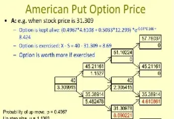 欧式期权和美式期权的差异(欧式和美式期权的区别)