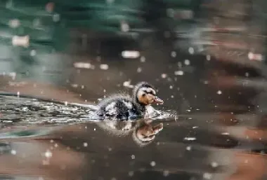 股指期货手续费一天多少正常(股指期货交易手续费标准最新)