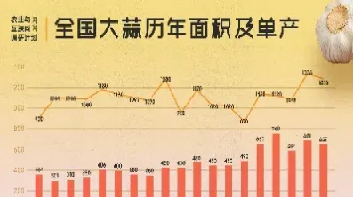 杂交大蒜期货国际走势(杂交大蒜期货直播)