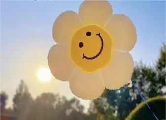 沪深300股指是什么(沪深300股指是什么意思)