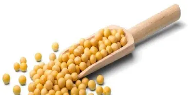 郑交所大豆q大豆油期货交易(郑州交易所大豆油期货今日行情)