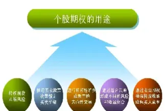 上交所股票期权投教专区(上海证券交易所期权策略)