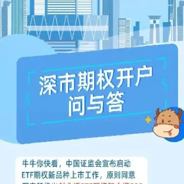 深交所期权品种(深交所期权品种大全)