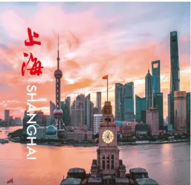 上海证券交易所期权有多少(上海期权交易所)