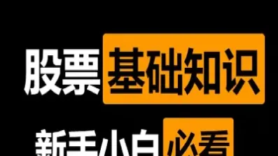 股票期权入门基础知识(股票期权基础知识大全)