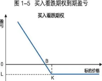 买入看跌期权的最大损失是(购买看涨期权的最大损失是)