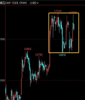 棉花2309期货(棉花期货2107实时价格)