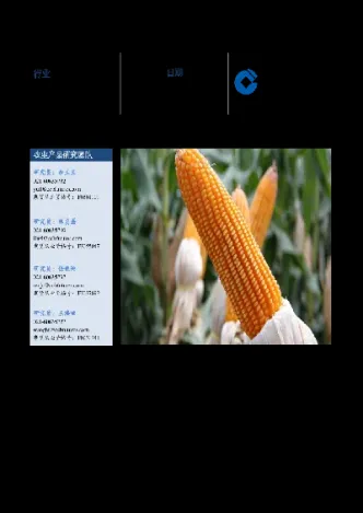 玉米2309期货(玉米2207期货)