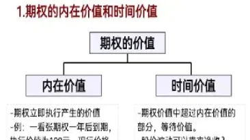 期权概念的理解(期权的基本概念)
