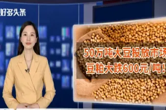 最新豆粕涨价后跌吗(最新豆粕涨价后跌吗最新消息)
