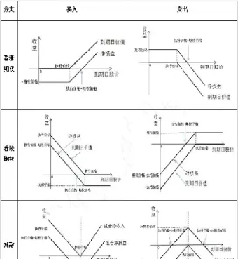 什么是美式看跌期权(美式看跌期权的多头有义务)