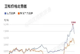 国际豆粕行情为什么一直在涨(国际豆粕实时行情)