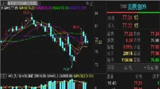 纽约原油指数实时行情(纽约原油期货今日行情)