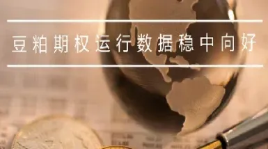 豆粕期货与期权(豆粕期货期权是金融期权吗)