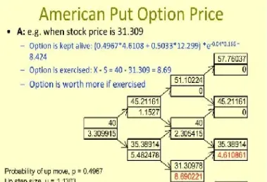 美式期权二叉树计算公式(美式期权计算公式)