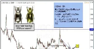 黄金白银的对比(黄金白银的关系)