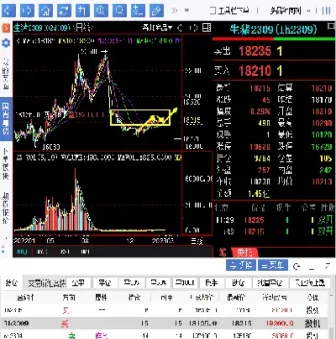 生猪期货实时行情(生猪期货实时行情走势图)