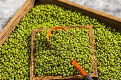 绿豆期货走势图(绿豆期货走势图分析)