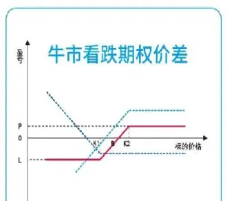 买入看跌期权行权过程(买入看跌期权是多头还是空头)
