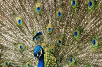 有没有股票期货(股票期货还有啥)